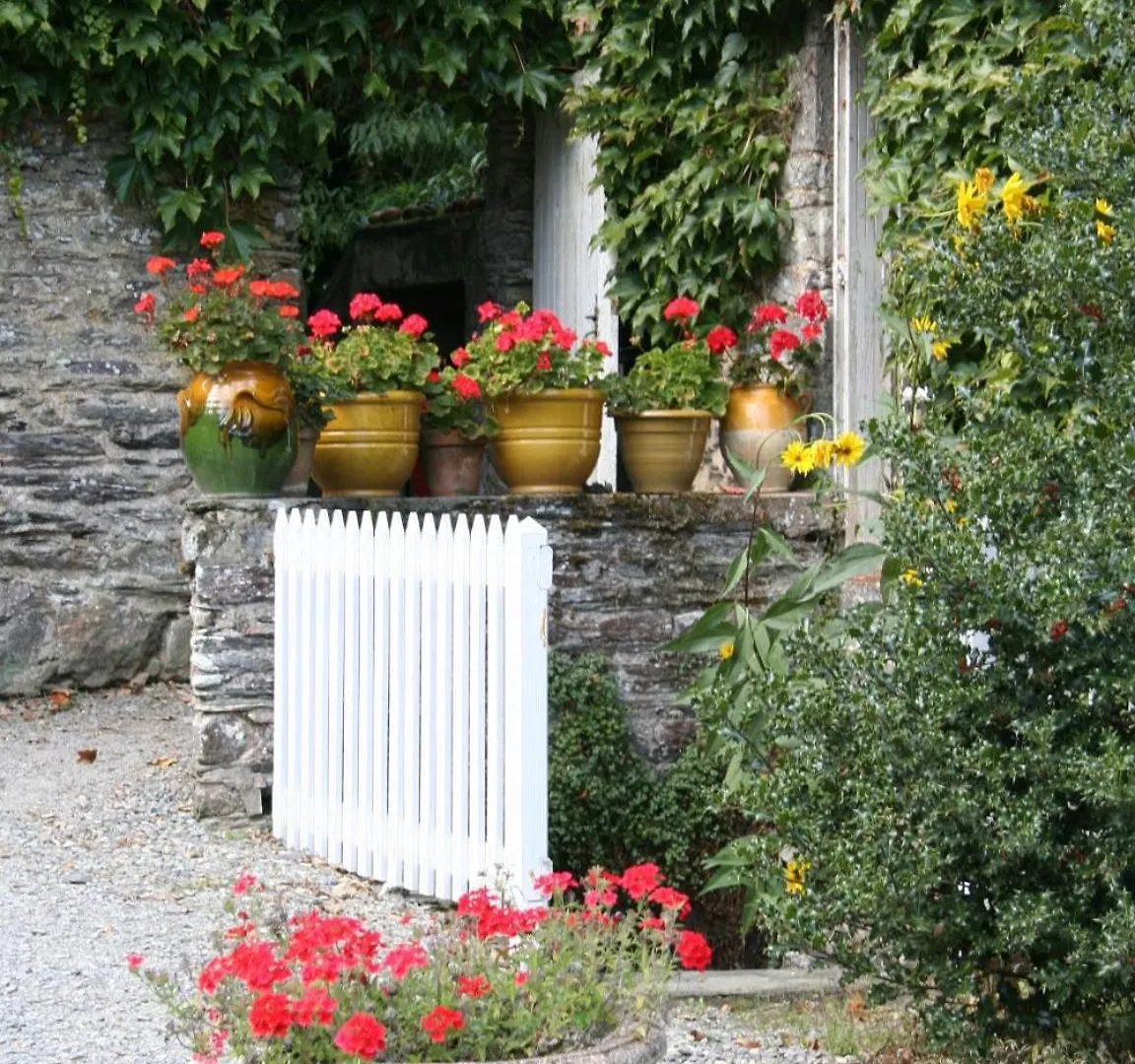 Manoir De Pommery Bed & Breakfast Sixt-sur-Aff France
